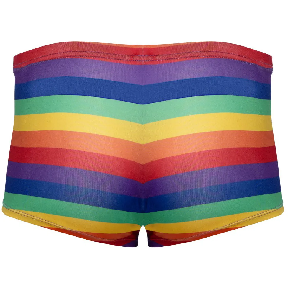 Svenjoyment Rainbow Boxer Briefs