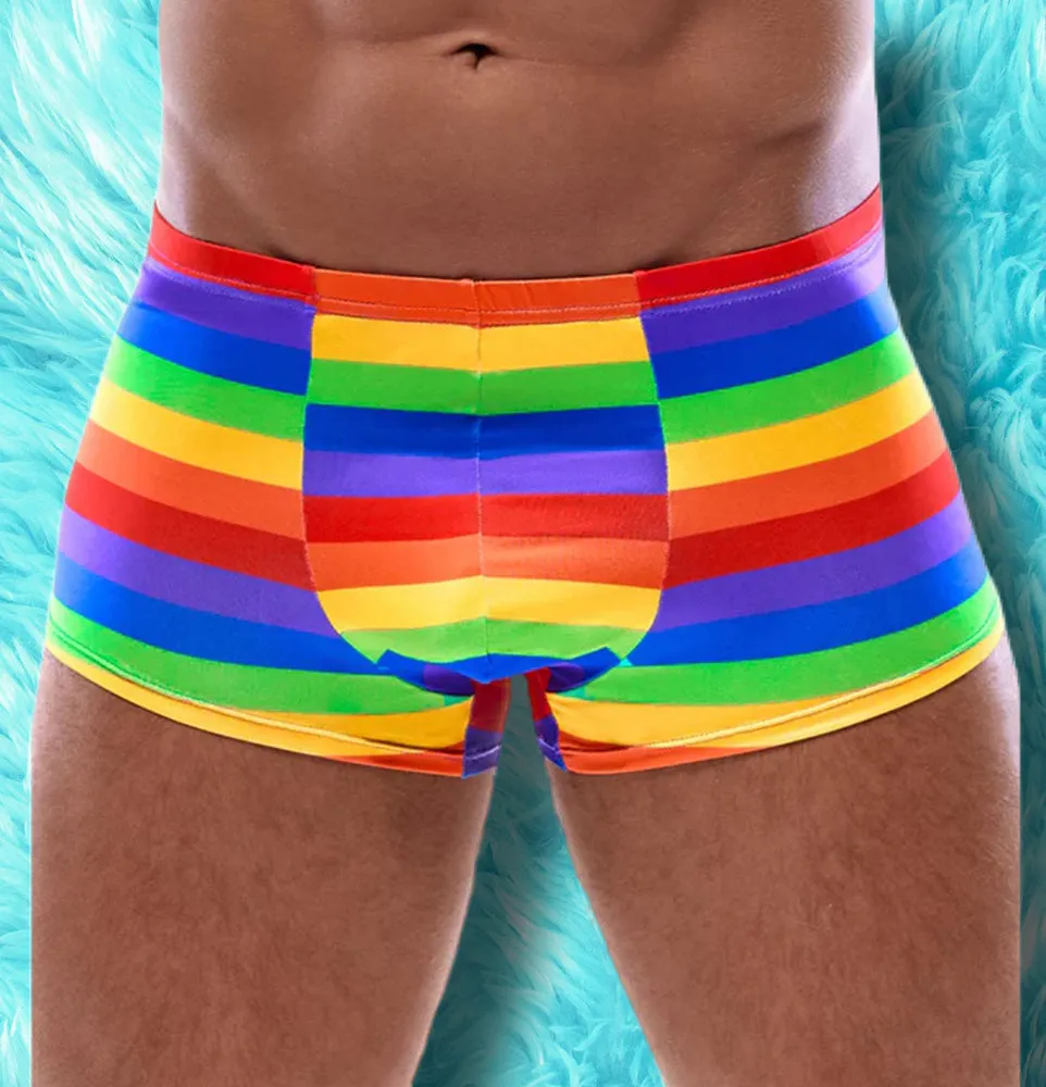 Svenjoyment Rainbow Boxer Briefs